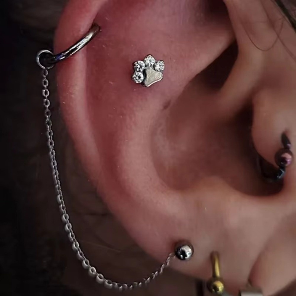 โซ่จมูกไทเทเนียม 3 ชั้น โซ่คู่ - Body Jewelry Ear บทวิจารณ์และราคา