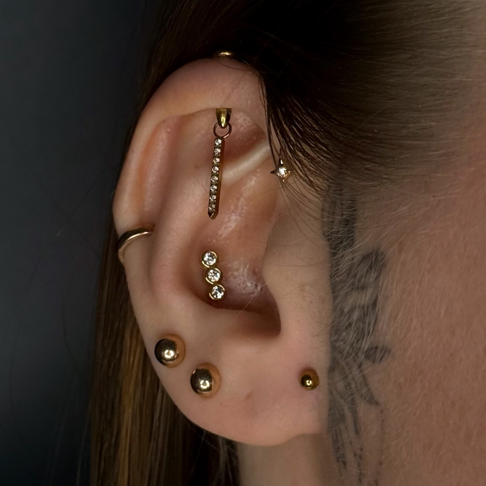 ต่างหูแบบเจาะ Helix Rook ขนาด  - Rook Curved Barbell บทวิจารณ์และราคา