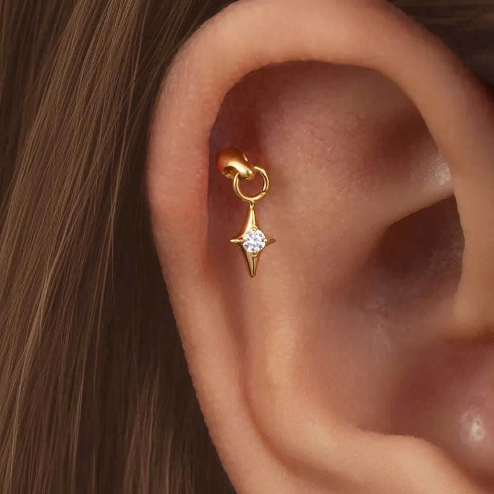ต่างหูแบบเจาะ Helix Rook ขนาด  - Rook Curved Barbell บทวิจารณ์และราคา