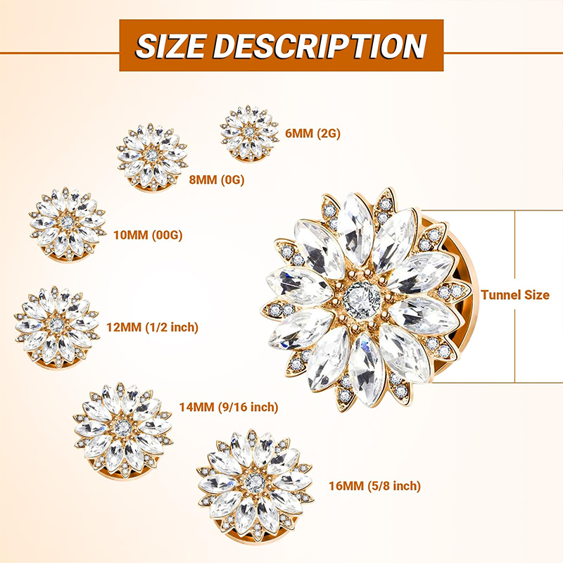 จุกอุดหูและท่อขยายหูประดับเพชร - Body Jewelry Ear บทวิจารณ์และราคา