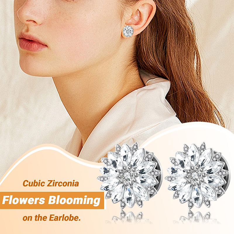 จุกอุดหูและท่อขยายหูประดับเพชร - Body Jewelry Ear บทวิจารณ์และราคา